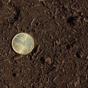 Finely screened bulk organic compost dark brown for garden beds in Edmonton by Radiant Landscape