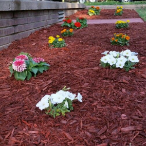 Red Shredded Mulch Radiant Landscape Supplies Edmonton