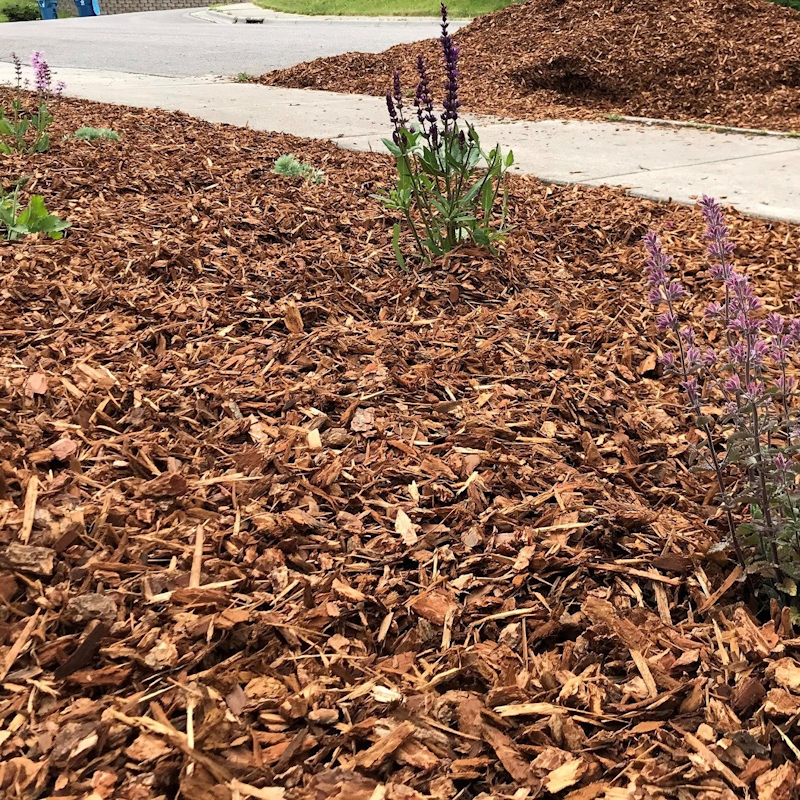 Wood Bark Nuggets Edmonton Radiant Landscape Supplies